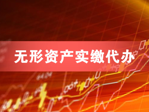 瑞金无形资产实缴资本代办