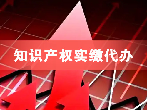 瑞金知识产权实缴资本代办